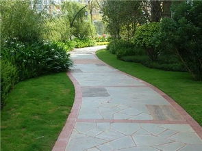 園林綠化工程特點(diǎn) 推動國家園林城市綠地建設(shè)