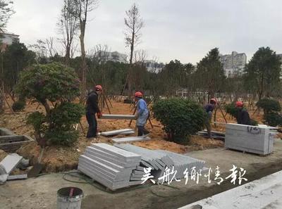 【惠民生 補短板】春節前,冰心公園將美出新高度!