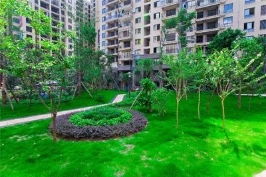 青?？诒脠@林綠化值得信賴