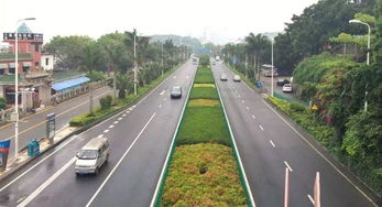 園林綠化工程中存在的部分問(wèn)題及建議