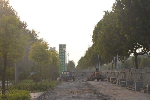 黃淮 刮 起 綠化風 綠化篇