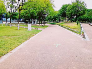 世園園林公司圓滿完成鐵人三項(xiàng)賽綠化保障工作