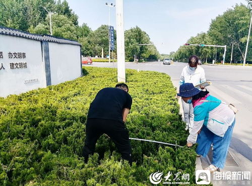 青州市園林綠化和環(huán)衛(wèi)中心 卡準(zhǔn)綠化施工精度尺，拉緊項(xiàng)目驗(yàn)收質(zhì)量繩——以高標(biāo)準(zhǔn)打造體育場地設(shè)施工程